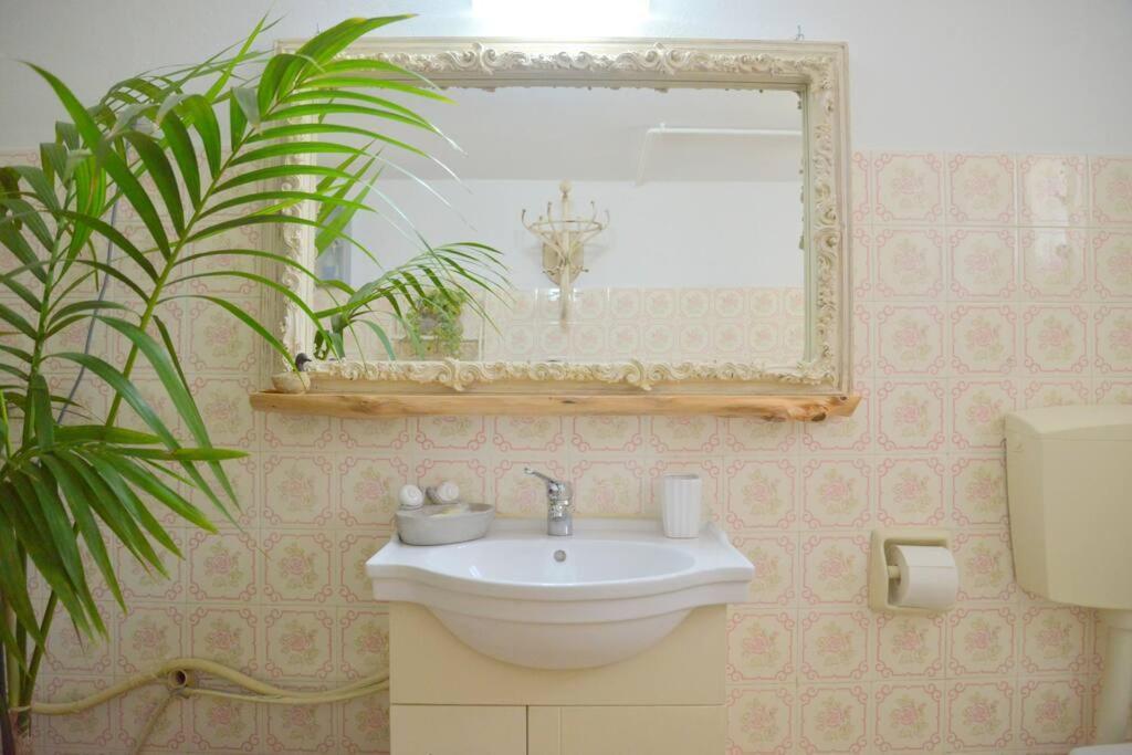 L'olivier Milos Apartment