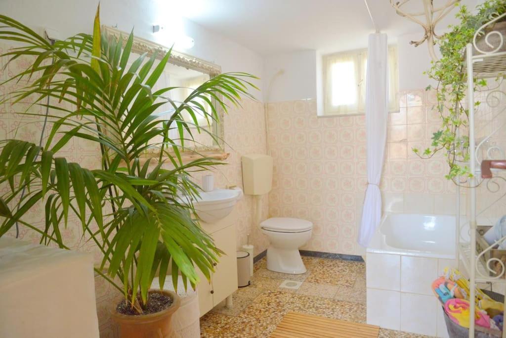 L'olivier Milos Apartment Plaka (Milos)